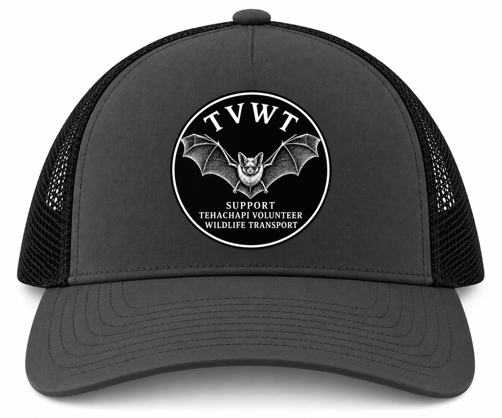 Feature Bat Hat - Charcoal/Black