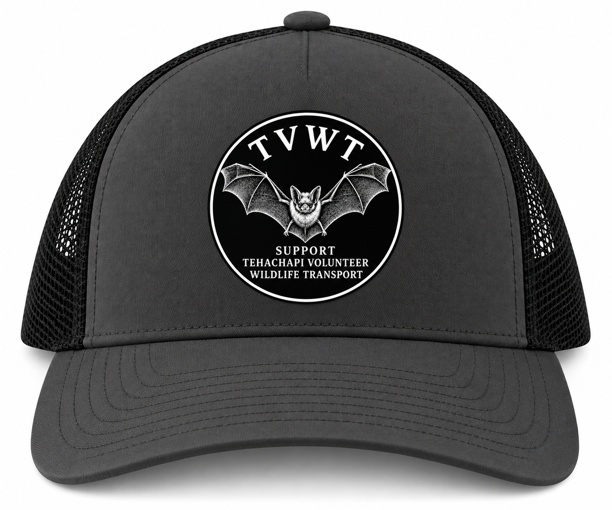 Feature Bat Hat - Charcoal/Black